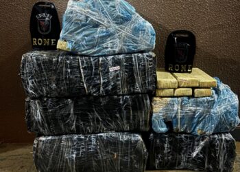 RONE apreende 111 quilos de maconha e prende mulher durante operação
