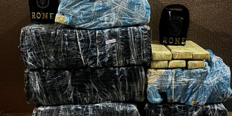 RONE apreende 111 quilos de maconha e prende mulher durante operação