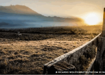 Serra Catarinense tem sensação térmica de 29 ºC negativos
