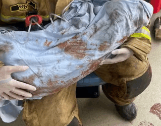 Casa pega fogo após homem tentar queimar formigueiro no Paraná; cadelinha é resgatada