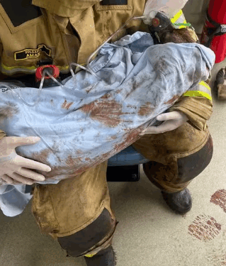 Casa pega fogo após homem tentar queimar formigueiro no Paraná; cadelinha é resgatada