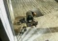 Câmera flagra indivíduo furtando relógios de água no Centro de Curitiba