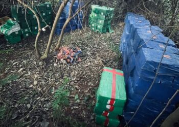 Operação conjunta apreende mais de 8,5 toneladas de maconha no Paraná