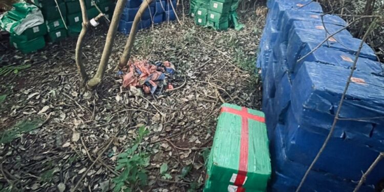 Operação conjunta apreende mais de 8,5 toneladas de maconha no Paraná