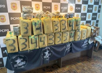 Polícia realiza maior apreensão de haxixe da história do Paraná