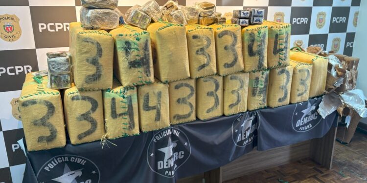 Polícia realiza maior apreensão de haxixe da história do Paraná