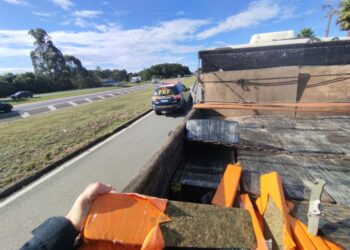 PRF apreende mais de uma tonelada de maconha em caminhão na BR-277 em Campo Largo