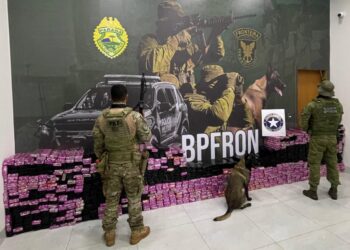 Operação conjunta entre PRF, BPFRON e Receita Federal apreende mais de uma tonelada de maconha