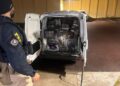 PRF apreende mais de 570 kg de maconha após acompanhamento tático na BR-376 em São José dos Pinhais