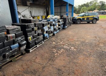 PRF apreende quase 7,5 toneladas de maconha e skunk escondidas em carga de soja