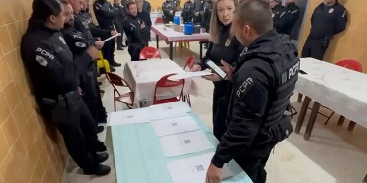 Delegacia de Furtos e Roubos de Veículos deflagra operação contra associação criminosa especializada em fraude na locação de veículos