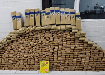 Casal é preso com mais de 350 kg de maconha em São José dos Pinhais