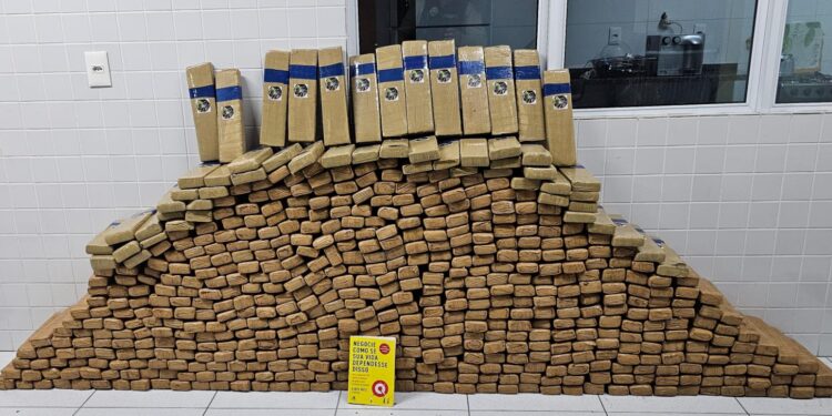 Casal é preso com mais de 350 kg de maconha em São José dos Pinhais