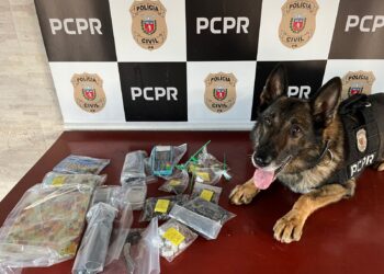 PCPR prende três pessoas por tráfico de drogas e apreende mais de R$ 7 mil