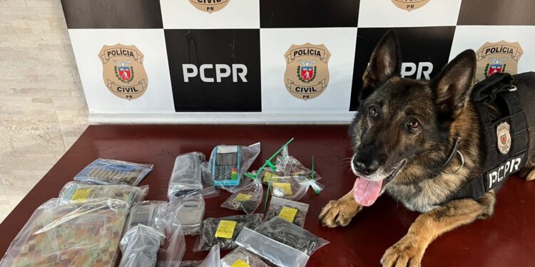 PCPR prende três pessoas por tráfico de drogas e apreende mais de R$ 7 mil