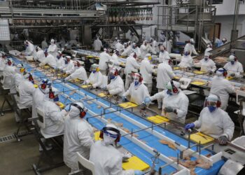 Volta do feriado com oportunidades: Agências do Trabalhador têm 23 mil vagas