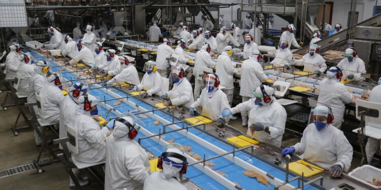 Volta do feriado com oportunidades: Agências do Trabalhador têm 23 mil vagas