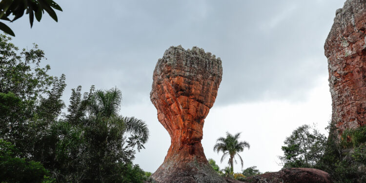 Ônibus, parques, farmácias: confira as mudanças nos horários no Corpus Christi