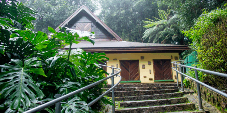 Em julho, Faróis do Saber e bibliotecas temáticas de Curitiba trazem opções de lazer gratuitas