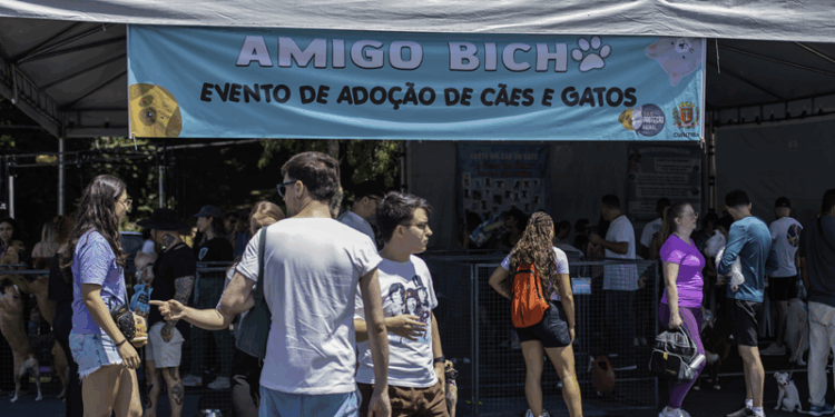 Amigo Bicho chega ao Parque Bacacheri com 40 cães aptos para adoção gratuita