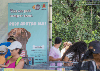 Amigo Bicho terá 50 cães vacinados e microchipados disponíveis para adoção