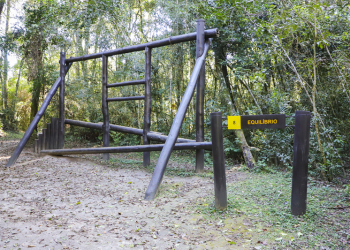 Bosque Reinhard Maack recebe reformas e novos brinquedos