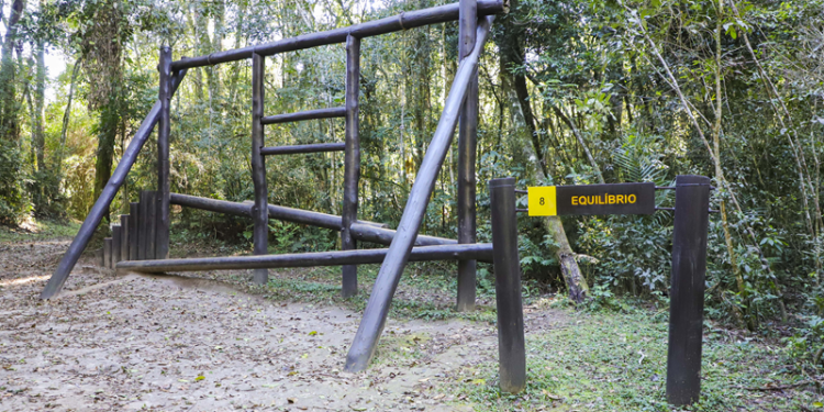 Bosque Reinhard Maack recebe reformas e novos brinquedos