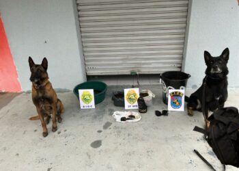 ROTAM cumpre mandado de prisão e descobre refinaria de haxixe em Curitiba