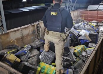 PRF apreende quase 9 toneladas de maconha em caminhão carregado com milho