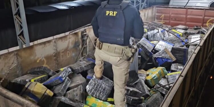 PRF apreende quase 9 toneladas de maconha em caminhão carregado com milho