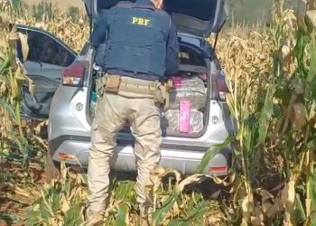 PRF apreende quase 400 quilos de drogas em Mandaguari