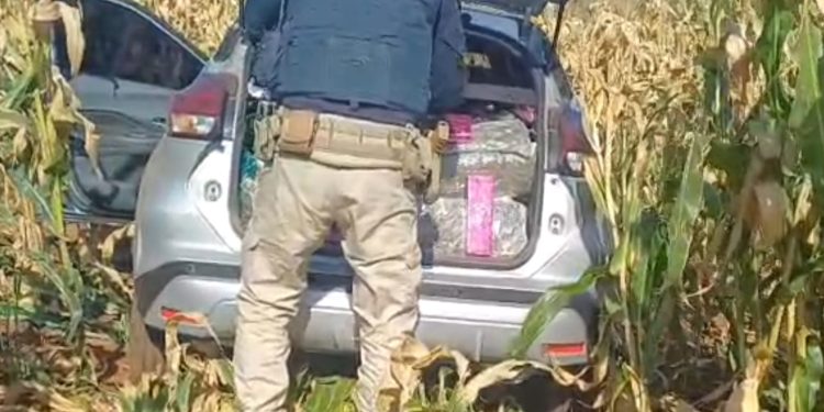PRF apreende quase 400 quilos de drogas em Mandaguari
