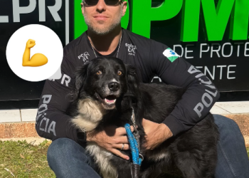 Vídeo: Cão é resgatado após ser furtado e forçado a inalar fumaça de maconha; mulher é presa por maus-tratos