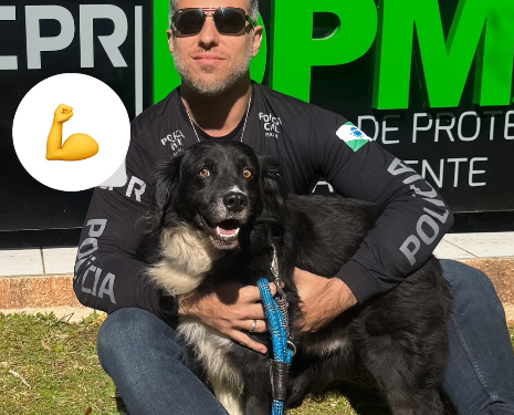 Vídeo: Cão é resgatado após ser furtado e forçado a inalar fumaça de maconha; mulher é presa por maus-tratos