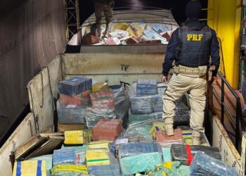 No Paraná, PRF apreende 171 toneladas de drogas no primeiro semestre de 2025