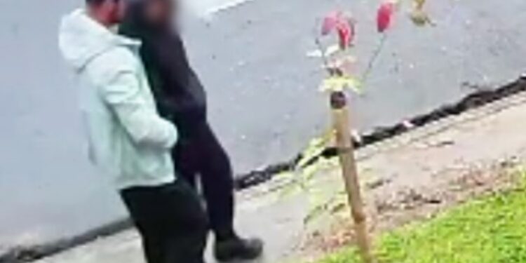 Criminoso rouba celular de adolescente no bairro Cajuru