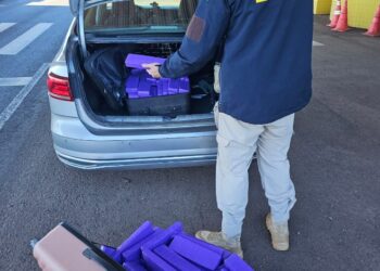 PRF apreende mais de 100 quilos de maconha na PR-444