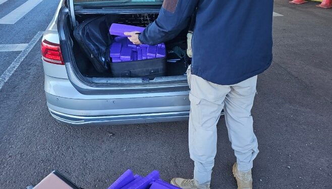 PRF apreende mais de 100 quilos de maconha na PR-444