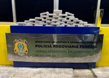 PRF apreende carregamento com 41 quilos de crack em fundo falso na BR-277