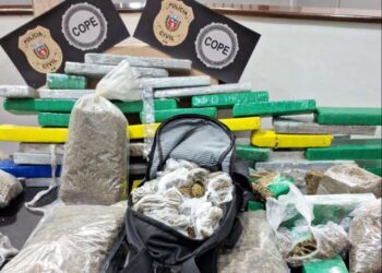 Polícia Civil apreende 327 quilos de “maconha gourmet” e prende três pessoas por tráfico