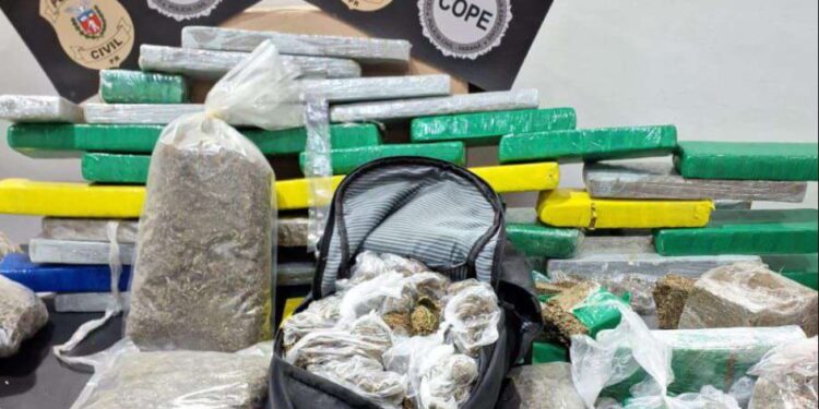 Polícia Civil apreende 327 quilos de “maconha gourmet” e prende três pessoas por tráfico
