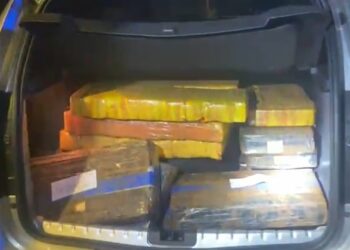 PRF apreende mais de 480 kg de maconha em duas ocorrências distintas no Paraná