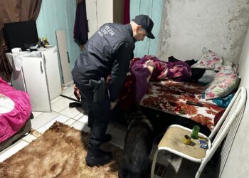 Polícia Civil cumpre mandados contra investigado por sequestro seguido de homicídio na Grande Curitiba