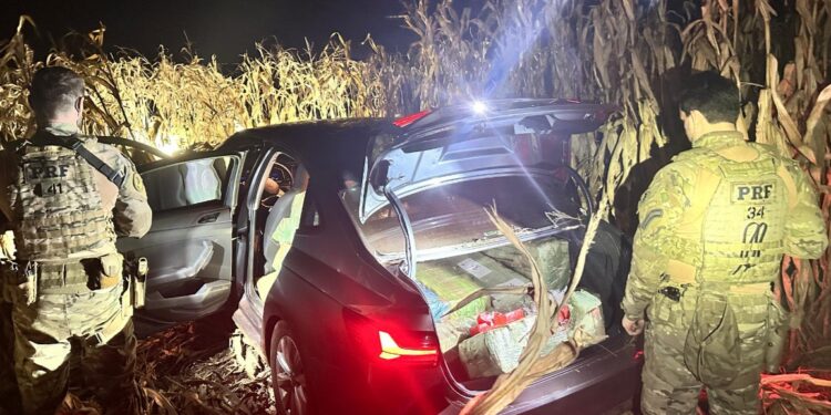 PRF apreende 403 kg de maconha após tentativa de fuga