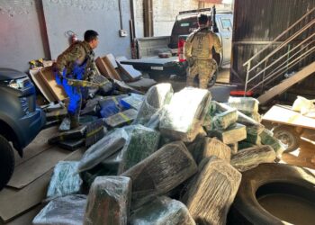 PRF apreende 2 toneladas de maconha em barracão