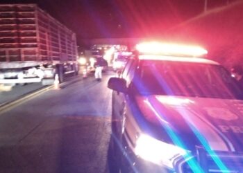 Homem morre atropelado na Rodovia do Xisto