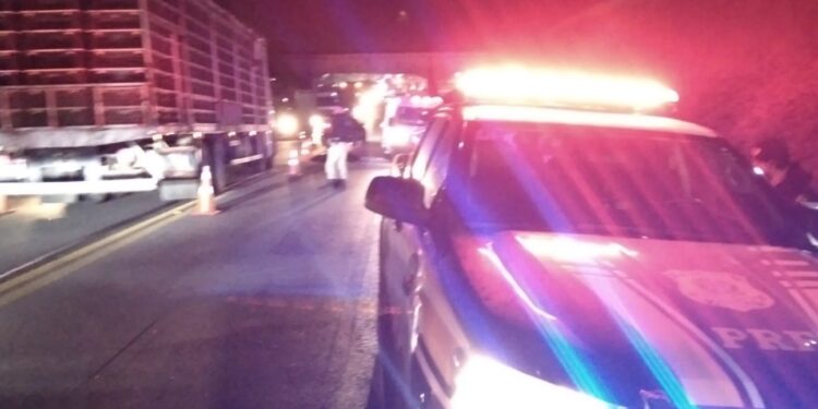 Homem morre atropelado na Rodovia do Xisto