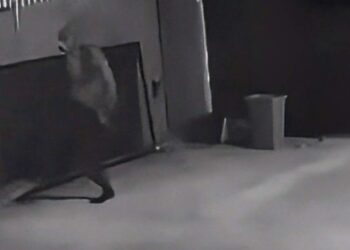 Com uma perna só, criminoso invade empresa, realiza furto, mas acaba preso