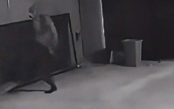 Com uma perna só, criminoso invade empresa, realiza furto, mas acaba preso