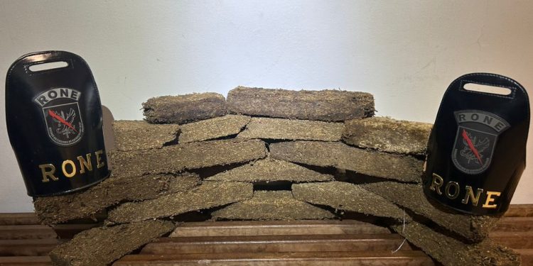 Mais de 10 quilos de maconha são apreendidos pela RONE em porto clandestino